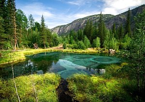 Путешествие по Алтаю