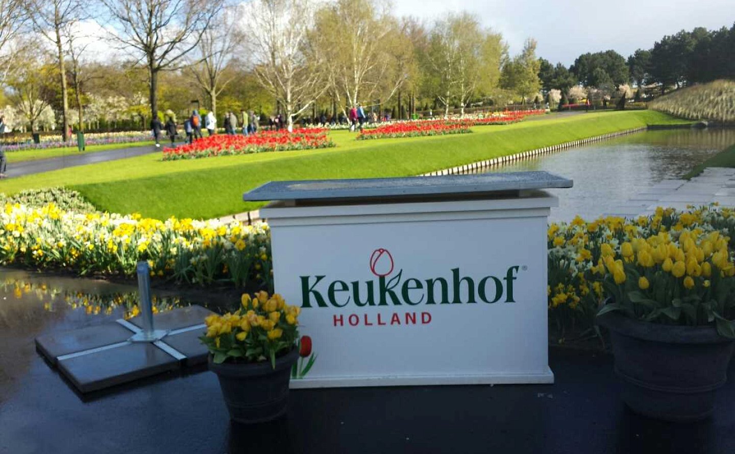 Нидерланды весенний парк Keukenhof